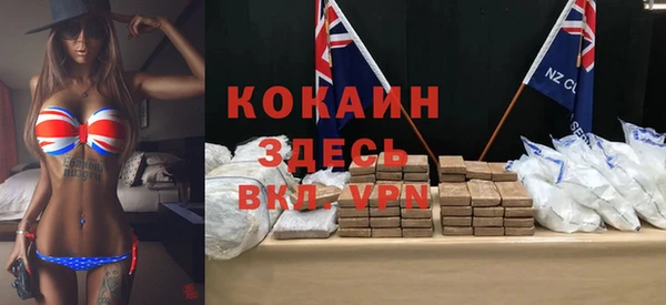 прущие грибы Гусиноозёрск