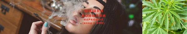 трава Горно-Алтайск