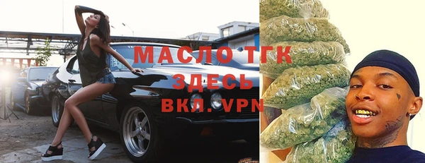 прущие грибы Гусиноозёрск