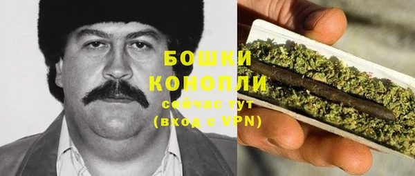 крисы Гусев